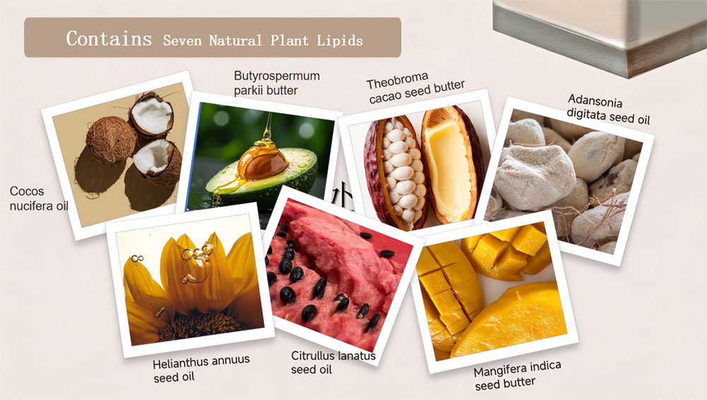 Ingredientes principais do leite corporal body milk key ingredients